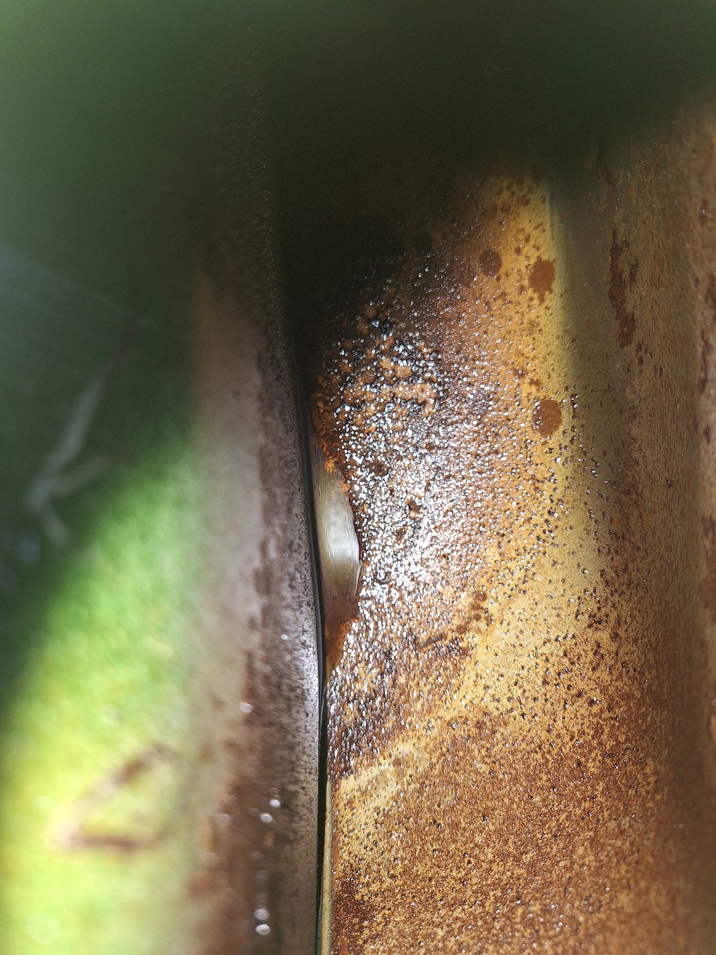 Benzinetank Benelli / MotoBi / Guzzi 50 Cross groen